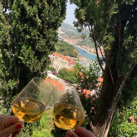 Apartments Nono Dubrovnik Eksteriør billede